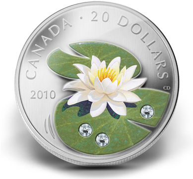 Canadian 20 Dollar Coin (388x371)