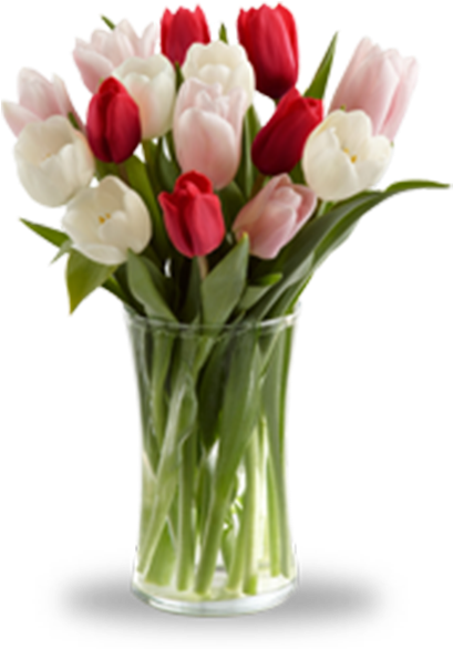 Tulipanes En Cristal - White And Orange Tulips (600x800)