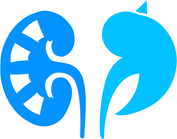 Nephjc Live At Asn Kidney Week - Nephrology Png (677x510)