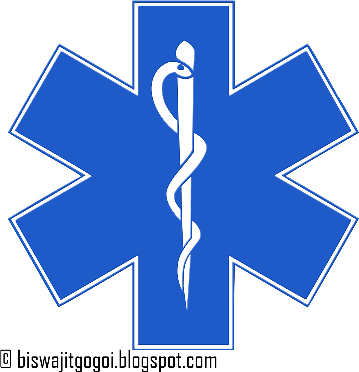 Medical Clipart Medical Emergency - Star Of Life (1500x1500)