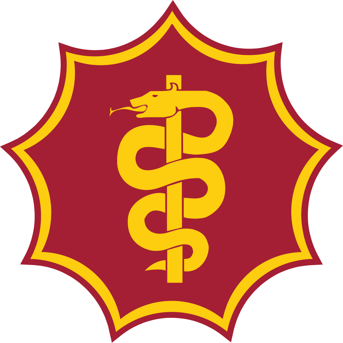 South African National Defence Force (1200x1200)