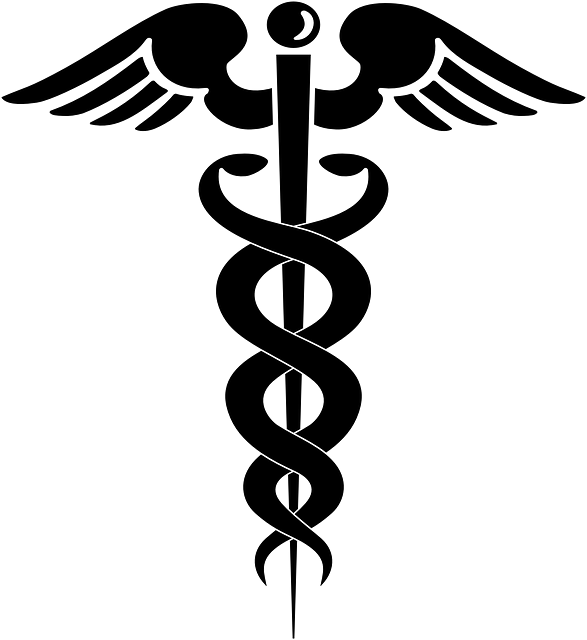 Doctor Symbol - Caduceus Vector (660x720)