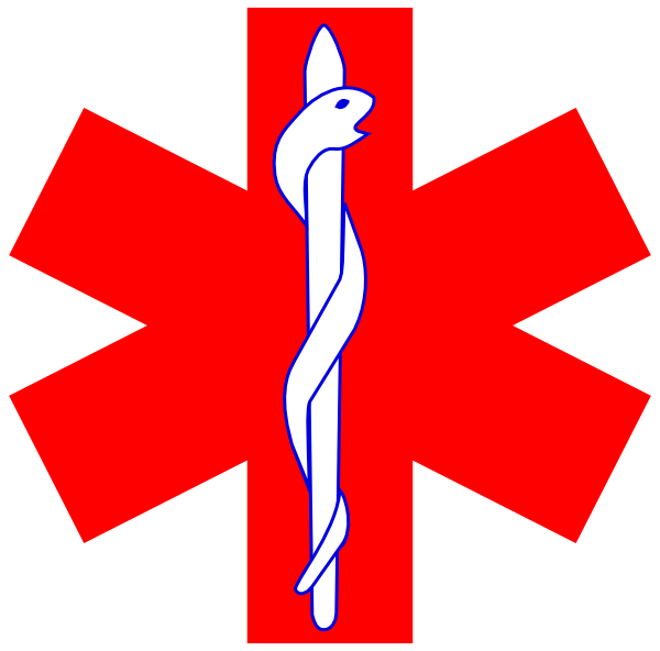 Red Paramedic Logo - Paramedic Logo Red (600x592)