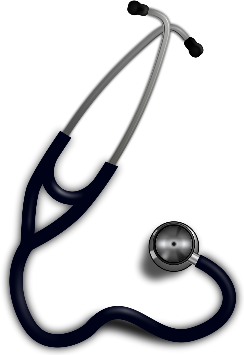 Stethoscope Svg Vector File, Vector Clip Art Svg File - Medical Internship High School (958x1437)