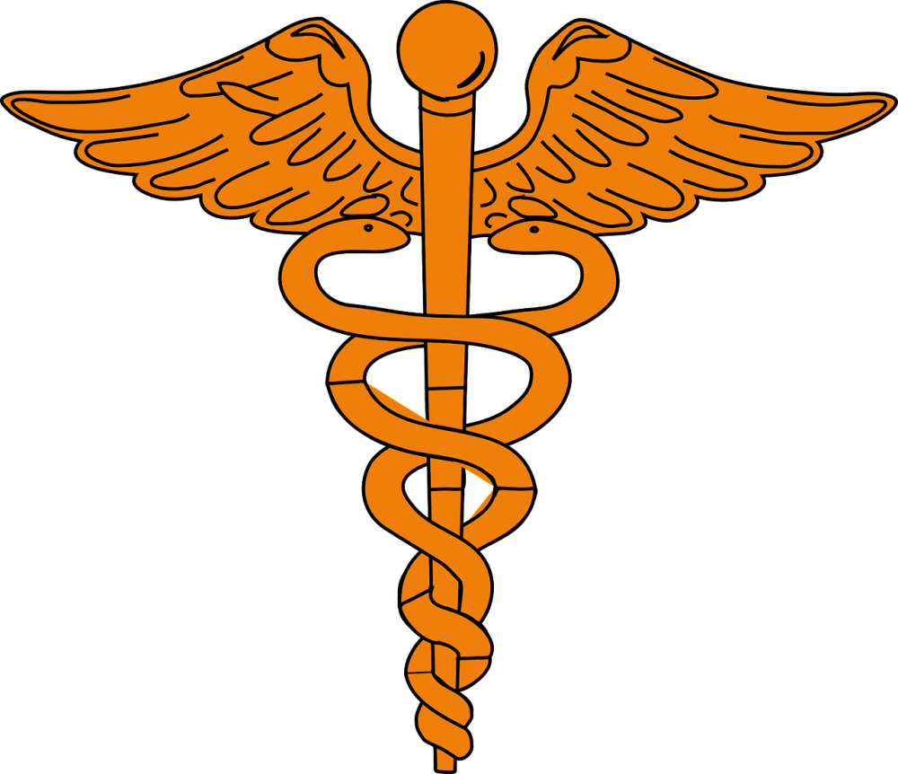 Caduceus Clip Art At Clipart - Nurse Rn Note Cards (1280x1103)