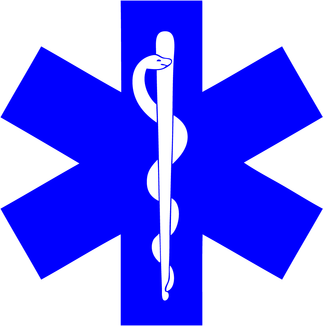 Emergency Logo Clipart - Star Of Life (1113x1123)