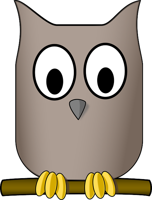 Nature Owl, Animal, Aves, Bird, Eyes, Nature - Cartoon Athenas Owl (488x640)