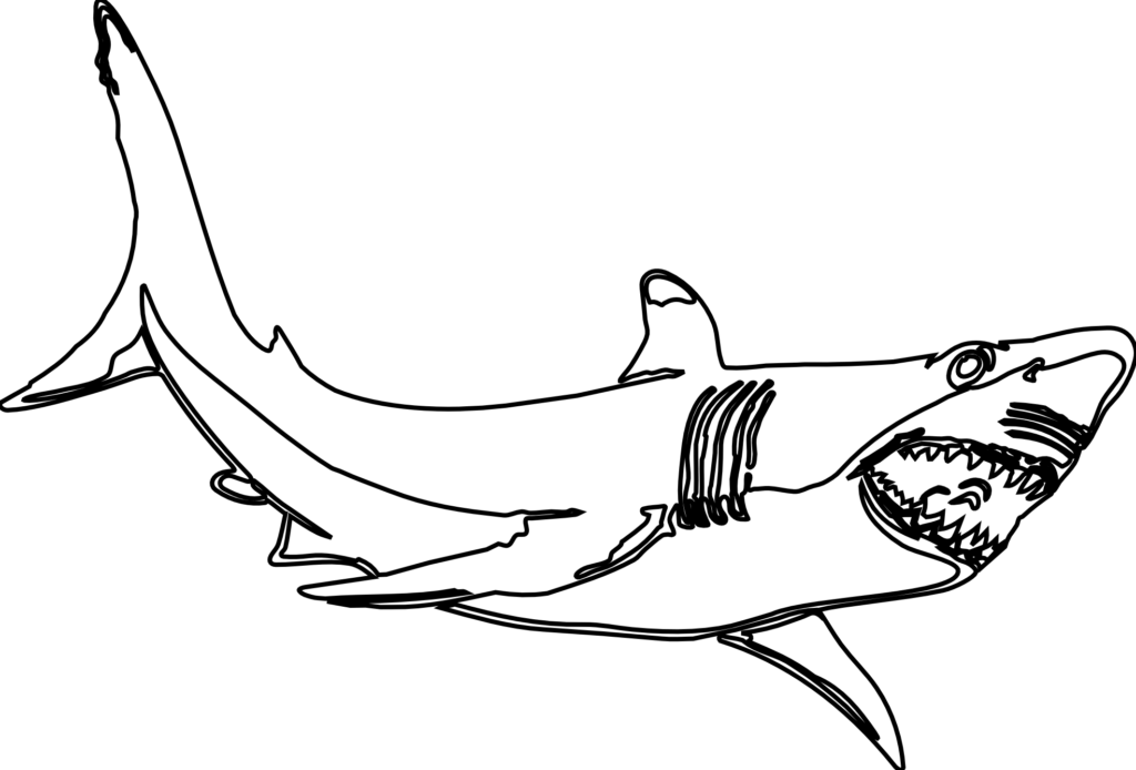 Hammerhead Shark Template Free Download Clip Art With - Sand Tiger Shark Coloring Page (1024x694)