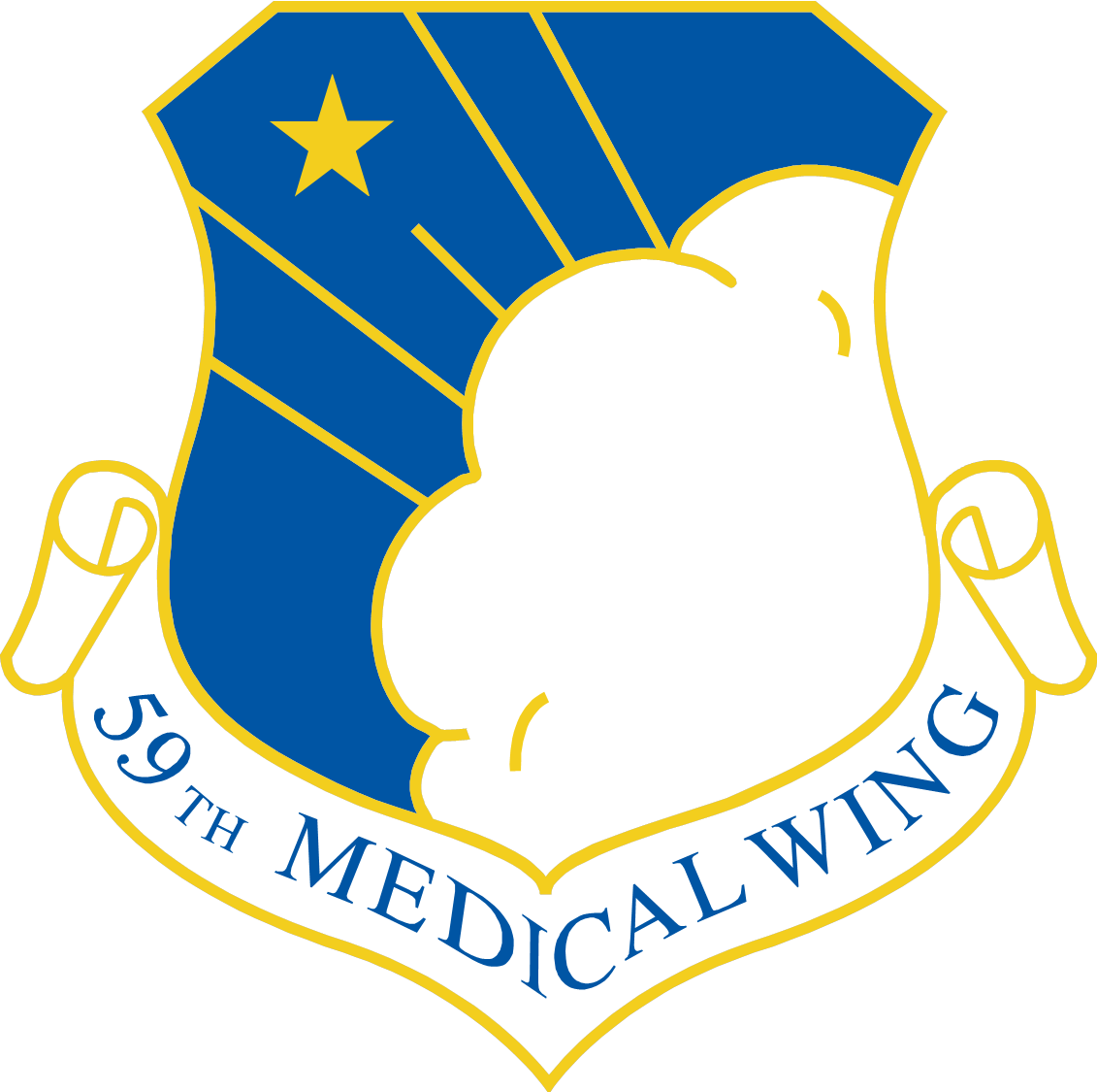 59th Medical Wing - Wilford Hall Medical Center (1131x1125)