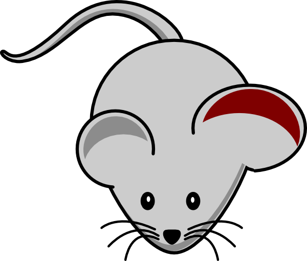 Mouse Ear Inflamation Clip Art - Mouse Clip Art (600x510)