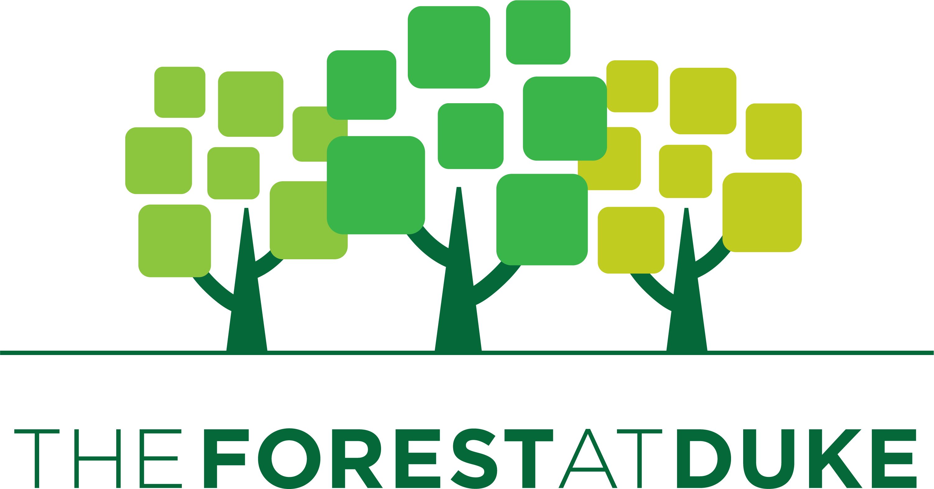 The Forest At Duke - Forest At Duke (3005x1573)