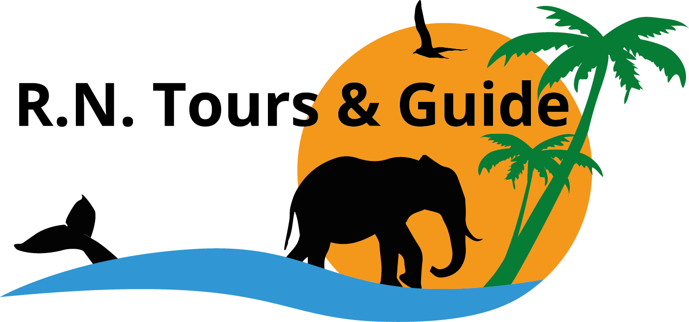 Sri Lanka - Registered Nurse (1399x654)