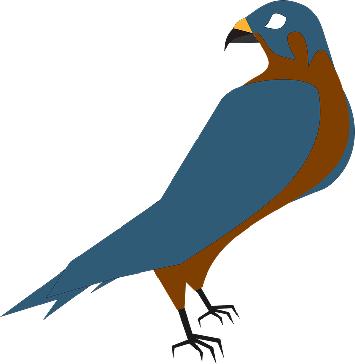 Falcon Clip Art - Falcon Clipart Png (701x720)
