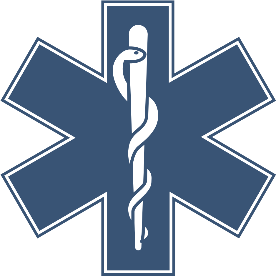 File - Gatunek Leczniczy - Svg - Star Of Life Ems (1000x1000)