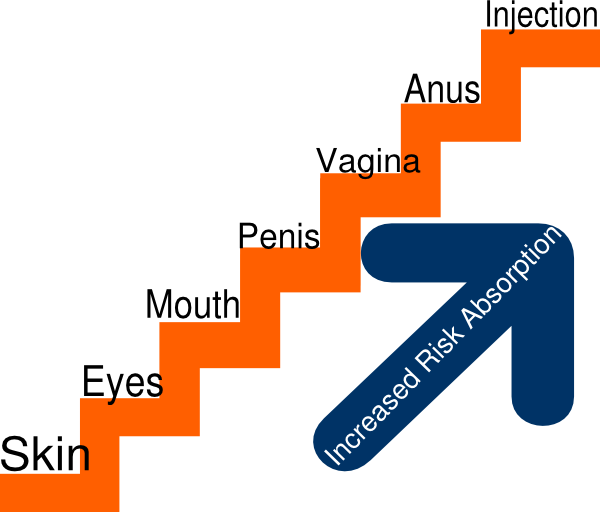 Orange Stairs Clip Art - Syphilis Clip Art (600x512)