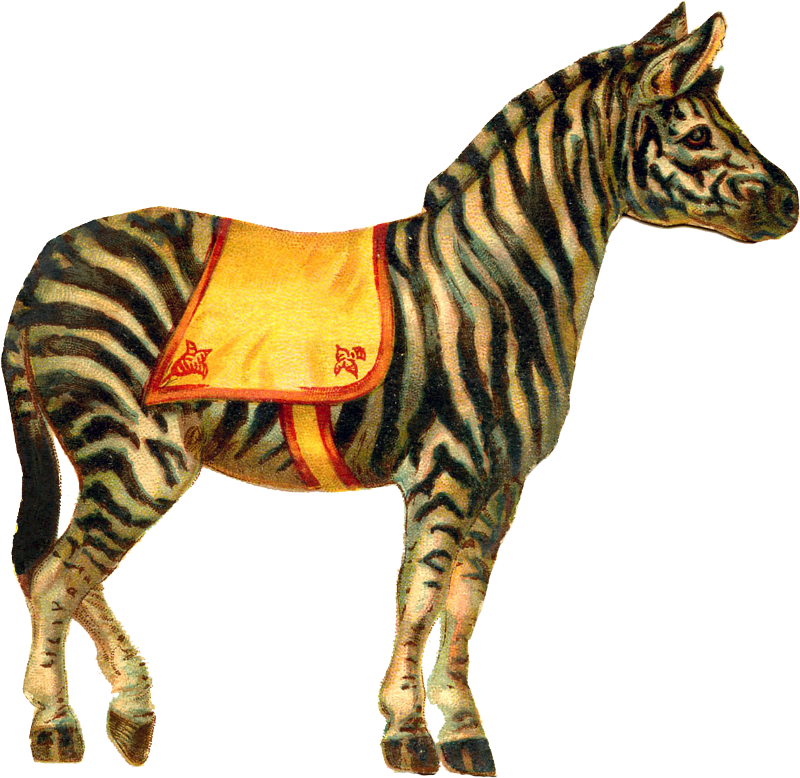 Zibi Vintage Scrap - Icanvas Circ Iv Gallery Wrapped Canvas Art Print By (1500x1500)