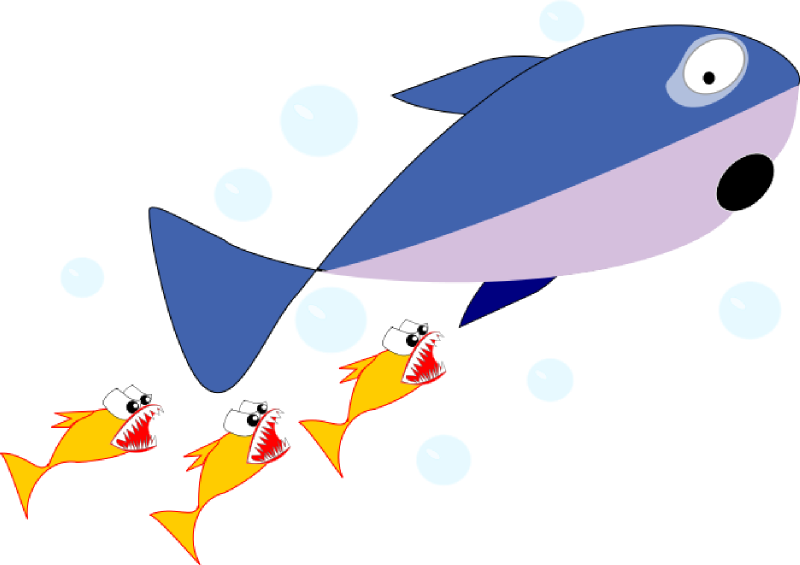 Shark Clipart Foca - Shark Chasing Fish Cartoon (800x565)