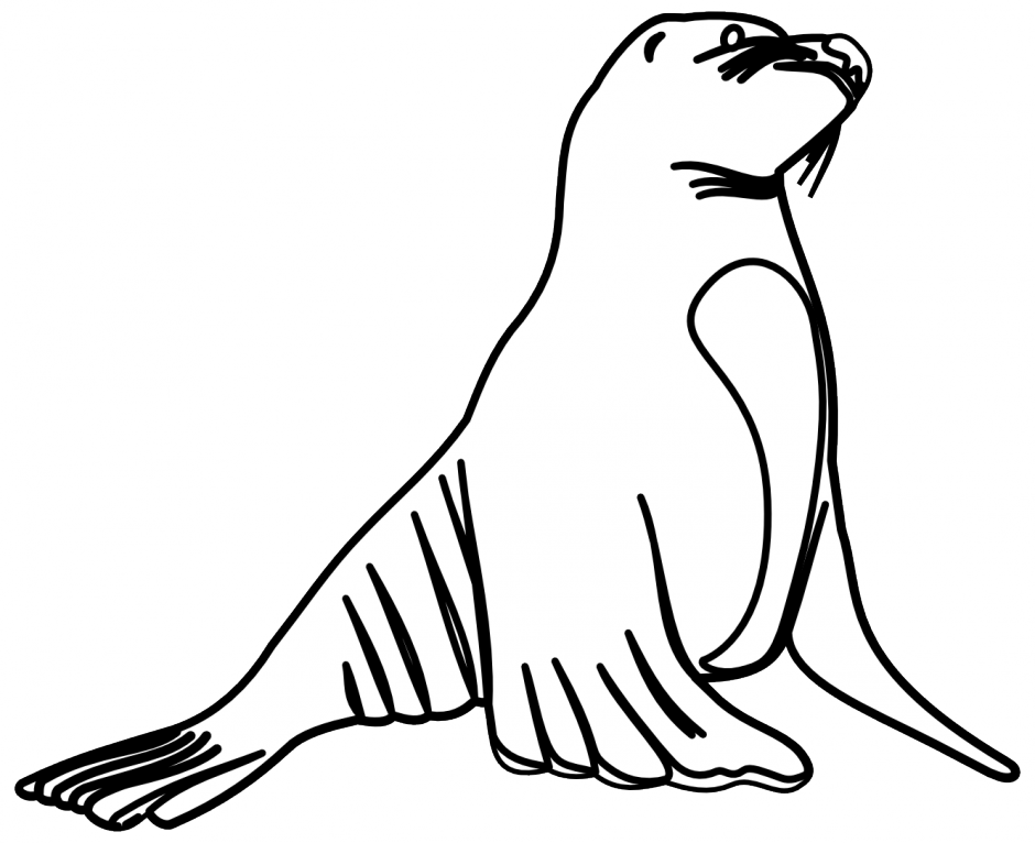 White Seal Cliparts - Seal Black And White (940x766)