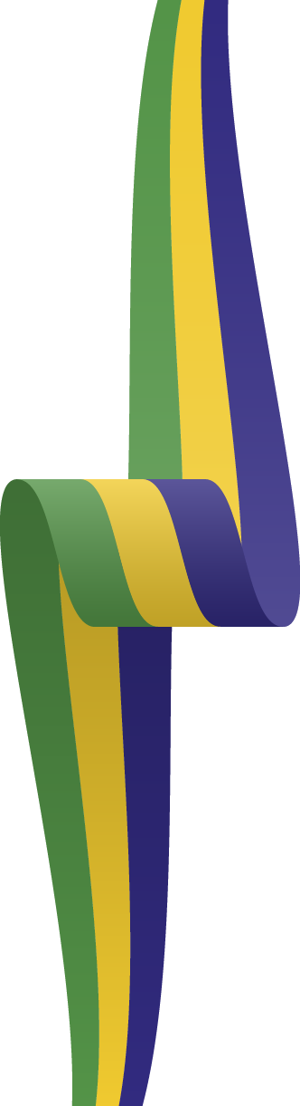 Rio De Janeiro 2016 Summer Olympics Brazilian Carnival - Rio De Janeiro 2016 Summer Olympics Brazilian Carnival (332x1221)