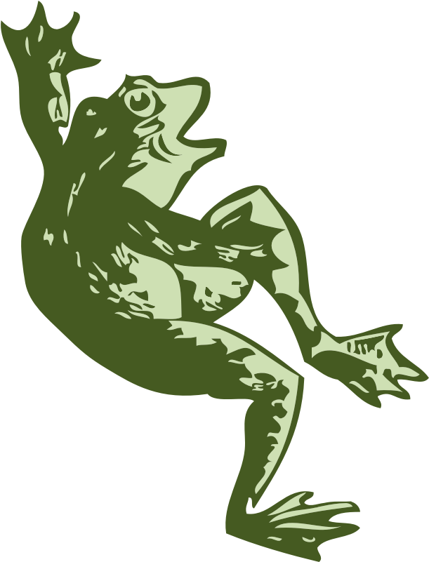 Clipart - Dancing Frog - Frog Dancing Png (800x800)