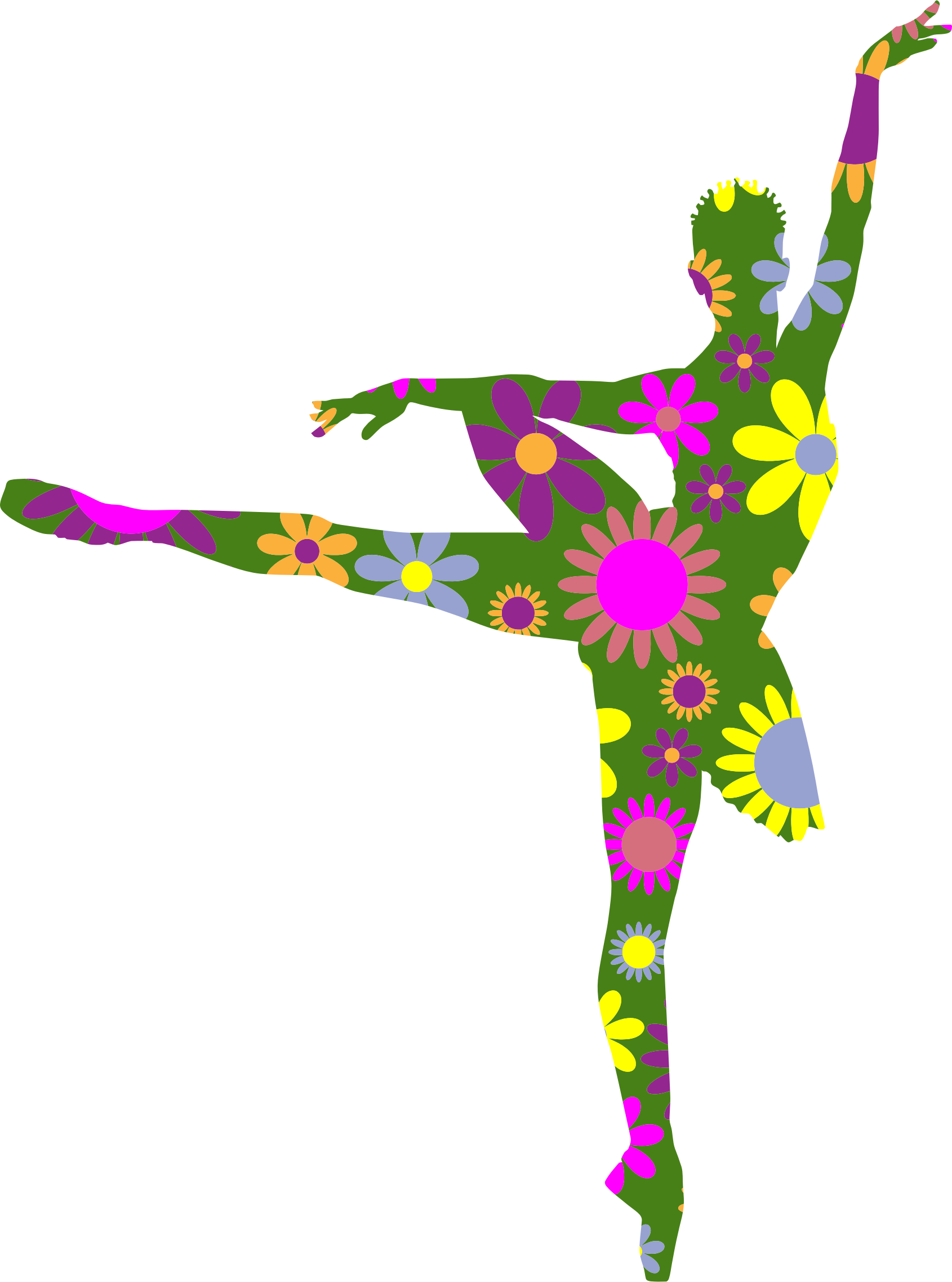 Floral Braided Hair Ballerina - Floral Ballerina (1690x2276)