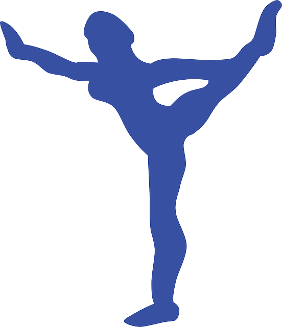 Gymnast Blue, Silhouette, Girl, Person, Cartoon, Free, - Gymnastics Clipart Blue (552x640)