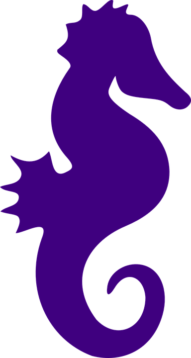 Clip Art - Seahorse Silhouette Png (384x720)