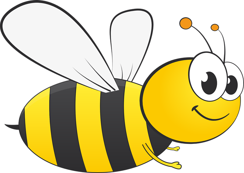 Review - Honey Bee Bee Clipart (800x570)