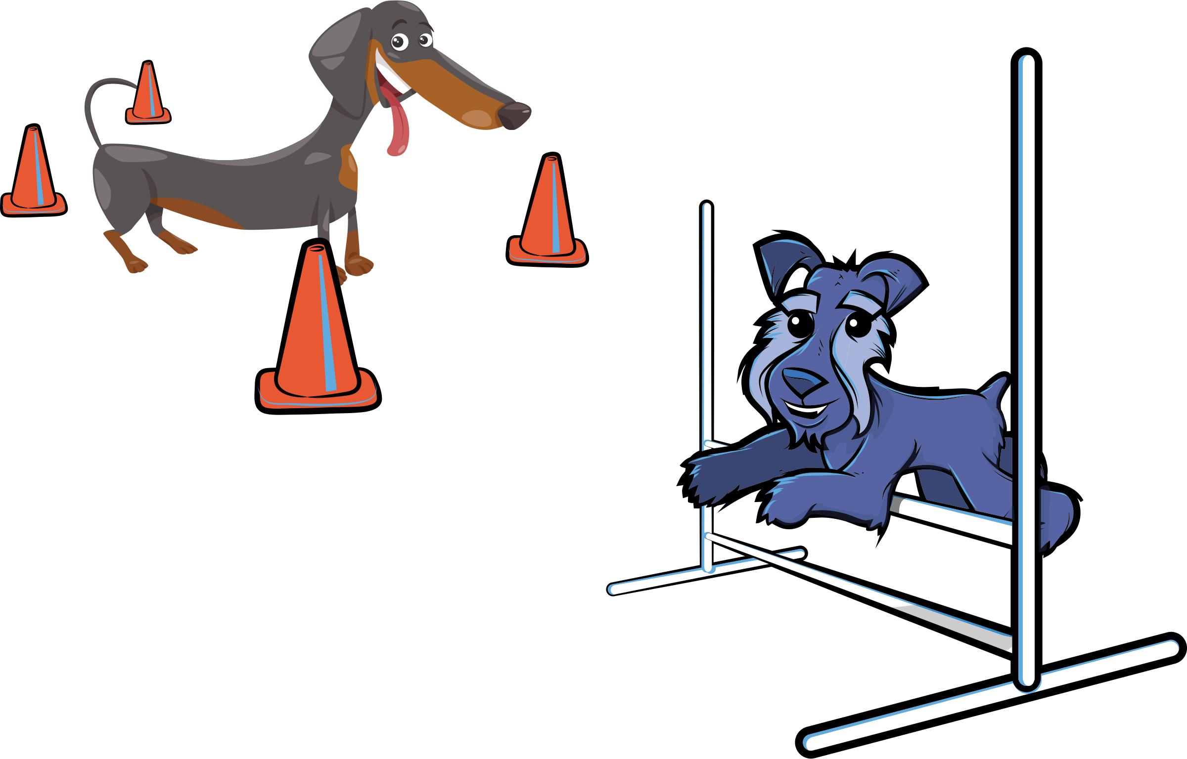 Agility - Dog Agility Clip Art (2400x1536)
