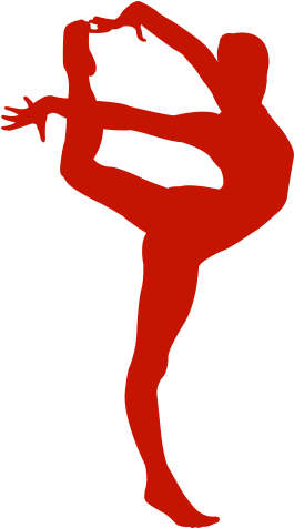 Gymnastics - Thaon-les-vosges (512x512)
