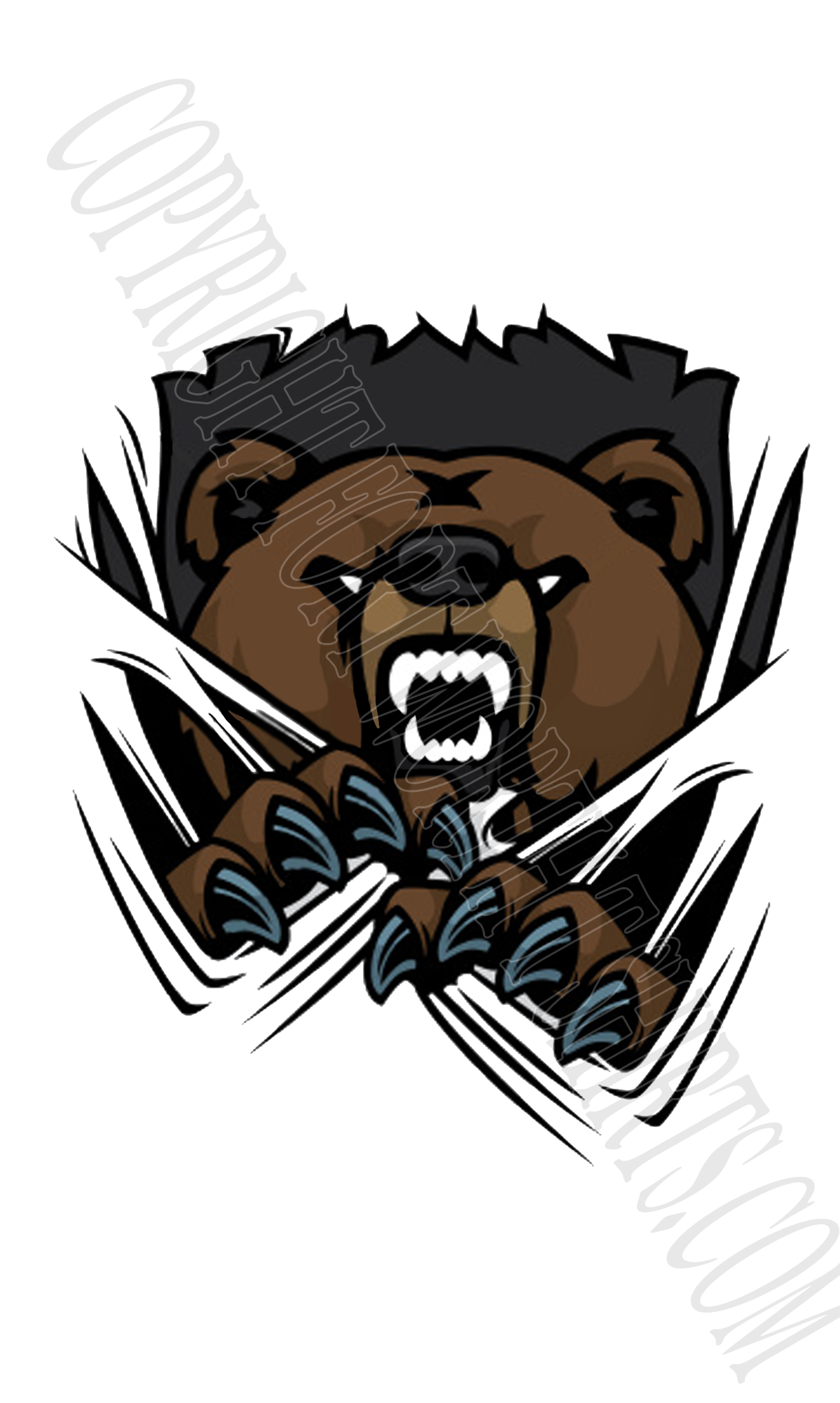 Brewer Bears T Shirts - Brewer Bears Logo (1219x2034)