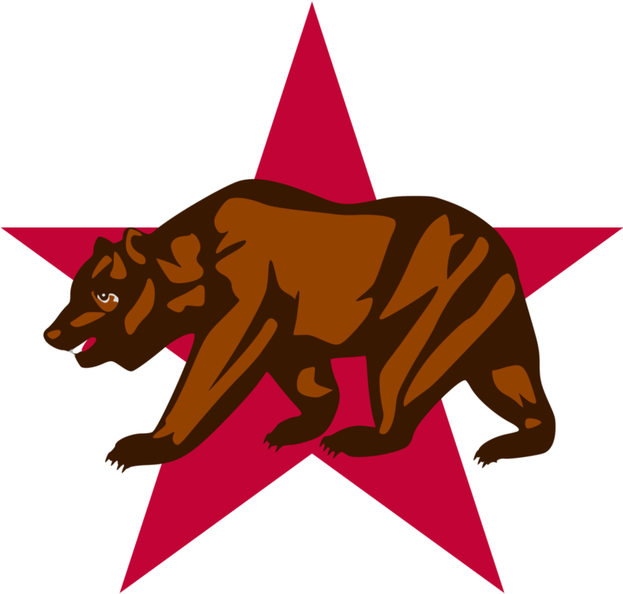 California Bear And Star By Shitalloverhumanity - California State Flag (1024x1024)