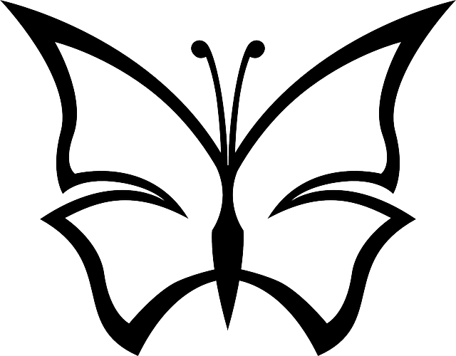 Simple Outline Pictures Black Simple Outline Drawing - Blank Comic Panelbook: Template Strips Notebook Small (640x500)