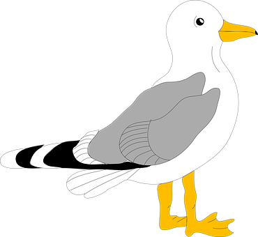 Seagull Bird Stand Water Wings Ocean Tail - Bird Clip Art (371x340)