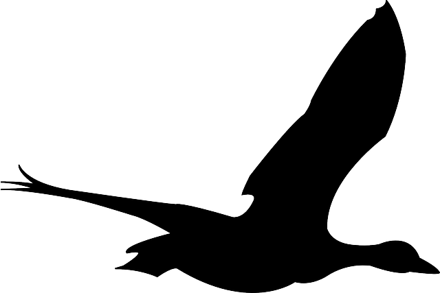 Silhouette Black, Simple, Outline, Drawing, Sketch, - Clip Art Flying Bird (640x427)