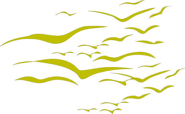 Flock Clip Art - Flock Of Birds Tattoo (600x370)