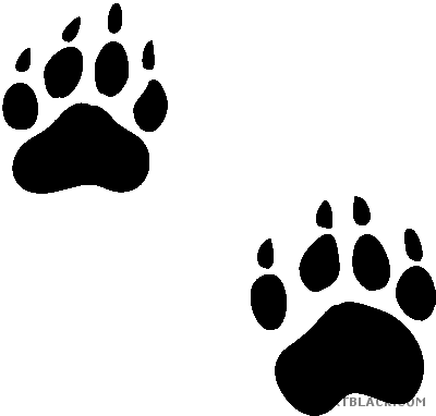 Bear Paw Print Animal Free Black White Clipart Images - Raccoon Dog Paw Print (400x382)