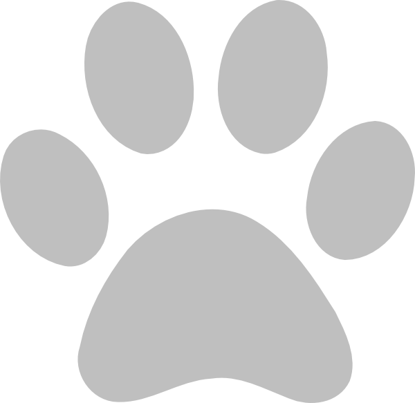 White Paw Print Transparent Background (600x583)