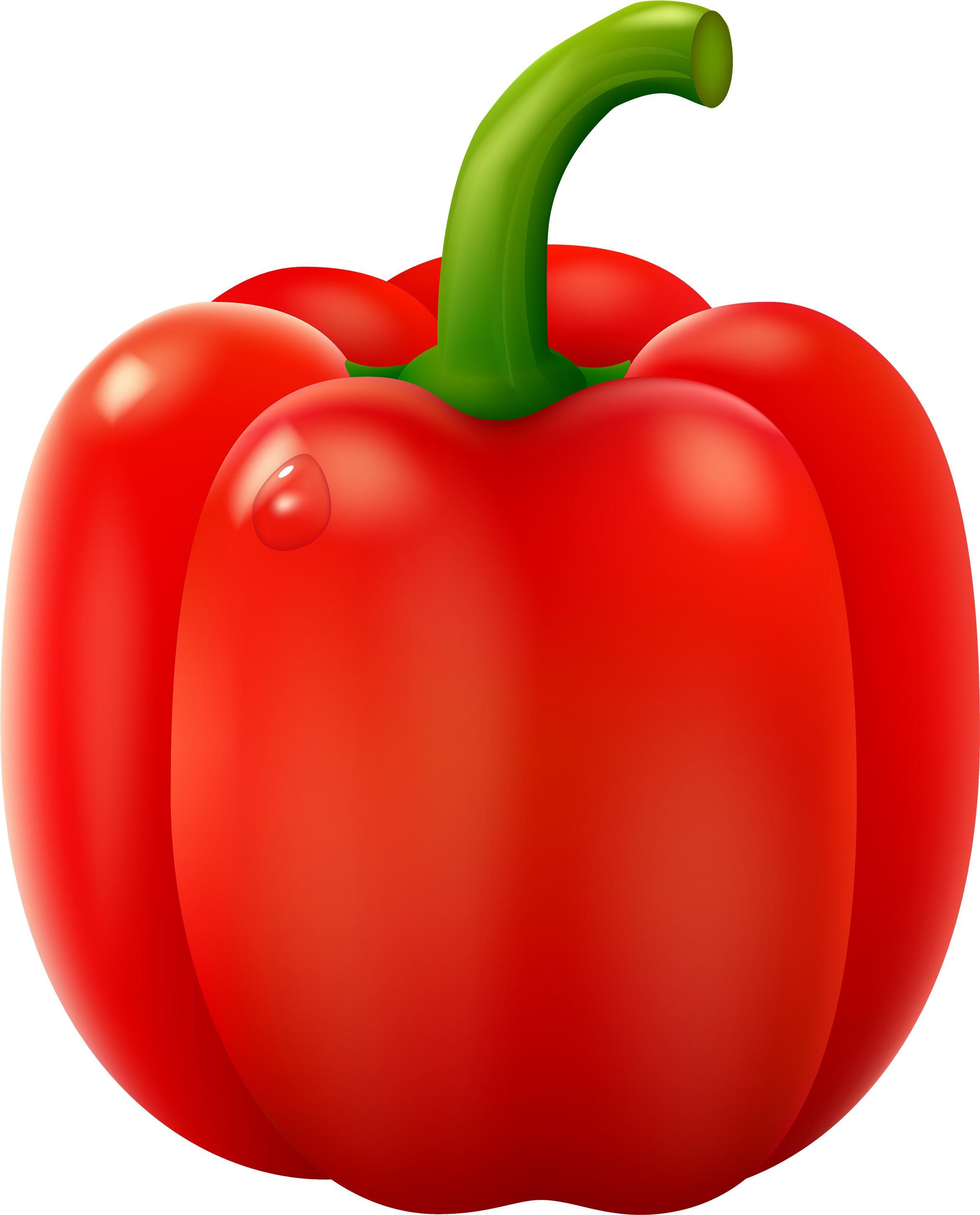 Red Pepper Png Clipart - Red Bell Pepper Clip Art (2420x3000)