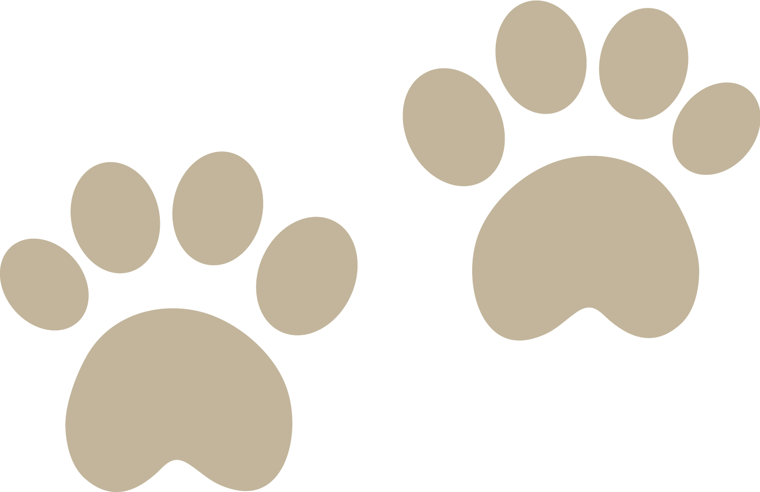 Bears - Molde Patinhas De Urso (1550x1004)