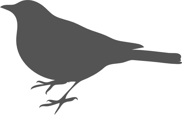 Bird Outline Clip Art - Bird Silhouette Clip Art (600x380)