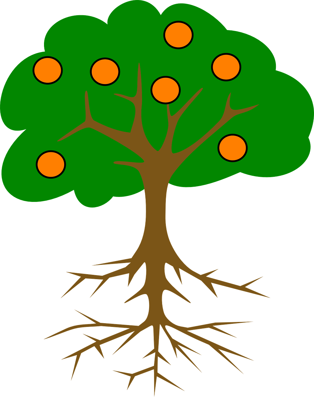 Polar Express Clip Art - Tree With Fruits Drawing (1013x1280)