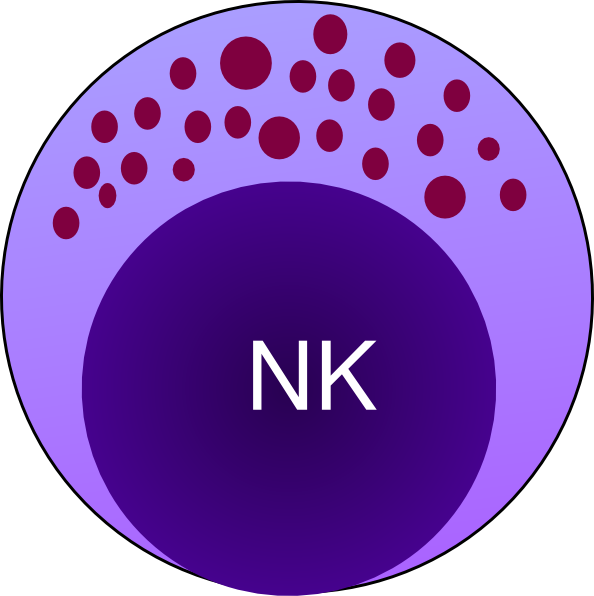 Natural Killer Cell Cartoon (594x596)
