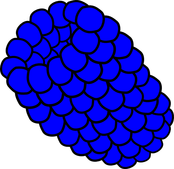 Blue Raspberry Clipart (740x720)