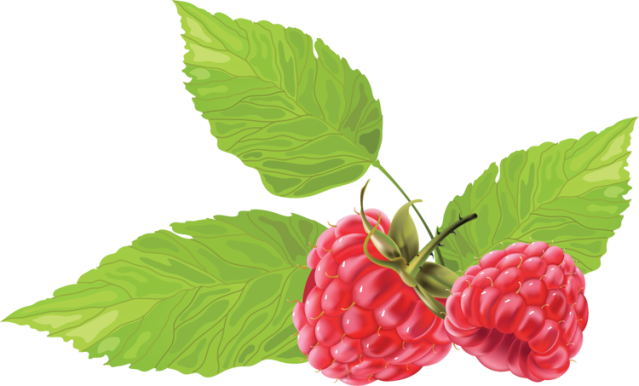 Great Clip Art Of Fruit - Raspberry Vector Free (639x386)