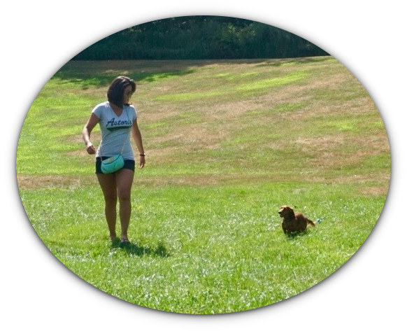 ﻿about Lily's Pad - Grass (582x473)