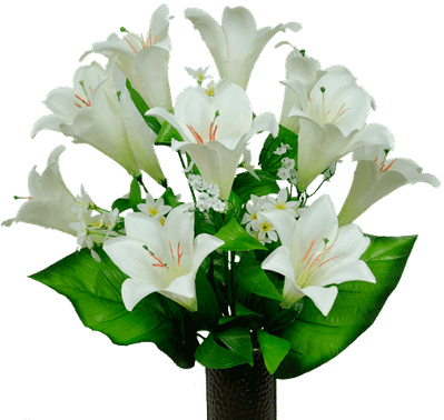 Lilies - White Stargazer Flower Png (400x400)