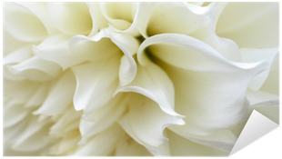 White Flower Pixerstick Sticker - Fototapeta Biały Kwiat (400x400)