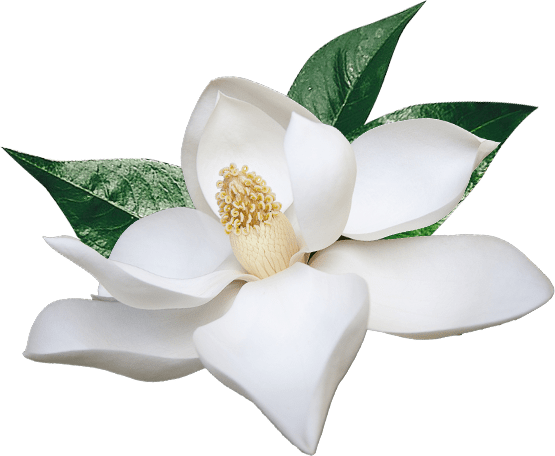 Download The App - Crisp Canvas Wall Art Frame: Canvas Only - No Frame (555x456)