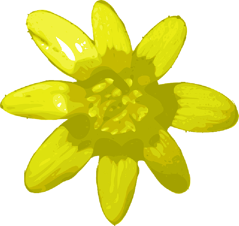 Yellow, Plants, Flower, Flowers, Cartoon, Plant, Pedals - Yellow Flower Clip Art (800x756)